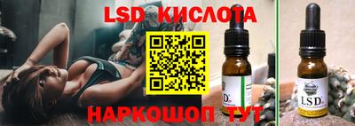 прущие грибы Канаш