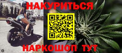 прущие грибы Канаш