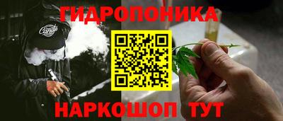 прущие грибы Канаш