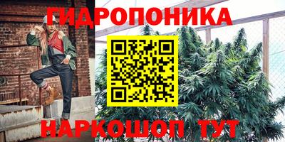 прущие грибы Канаш
