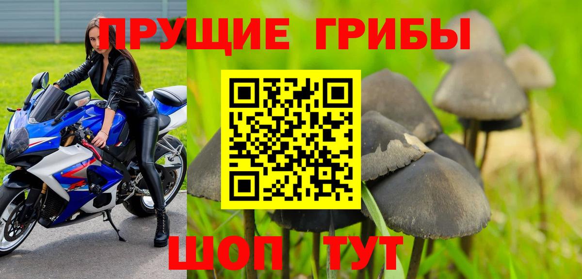 Кстово  Галлюциногенные грибы MAGIC MUSHROOMS  Вход с VPN 